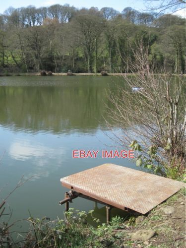 Photo steel fishing peg - photo,
