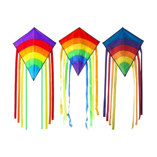 Giant beach kite - beach,