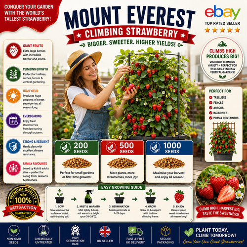 Mount everest climbing - everest,