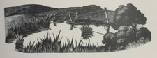 THE VILLAGE DUCK POND -  C1937 Print of a Woodcut By C. LEIGHTON