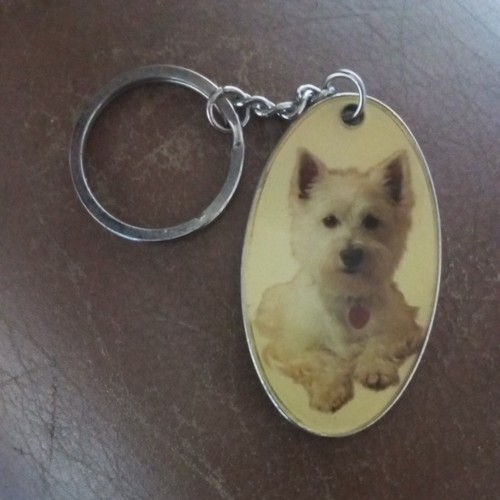 West highland terrier best - terrier,