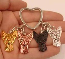 Sphynx Cat animal rose gold