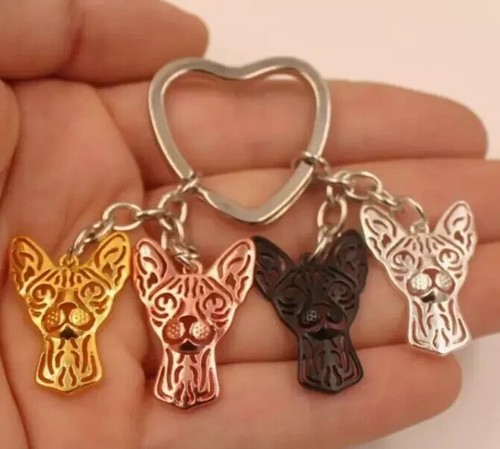 Sphynx cat animal - rose, gold