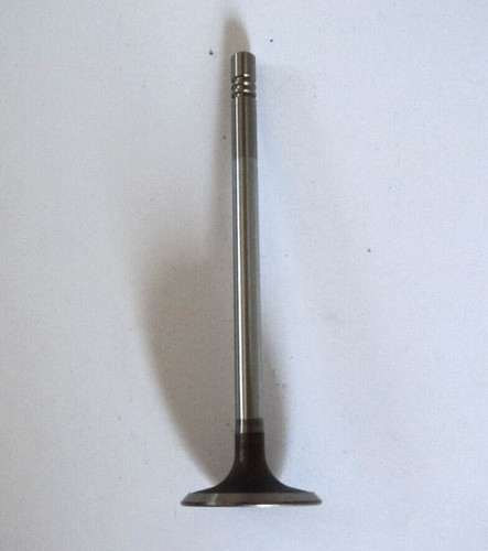 Inlet valve ford escort fiesta - valve,