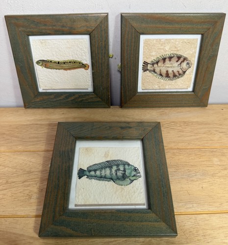 Hand painted marine fish - hand,