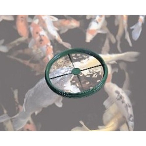 Nishikoi feeding ring garden - feeding,
