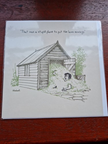 Thelwell greetings card - card, funny