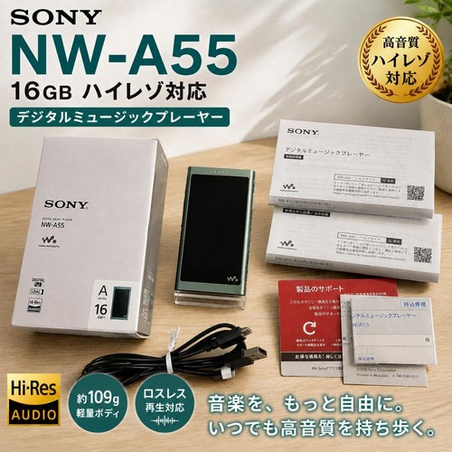 Sony walkman a55hn - walkman, nw-a55hn
