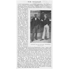 TOM SULLIVAN Amateur Rowing &