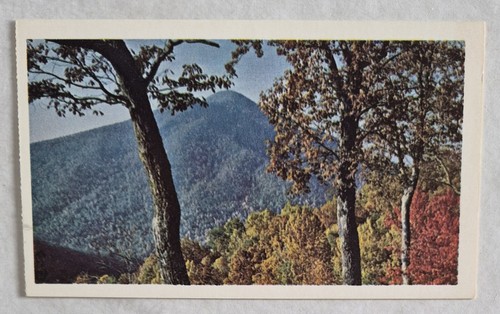 Postcard blue ridge parkway - postcard....blue,