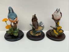 3 Country Artists  bird