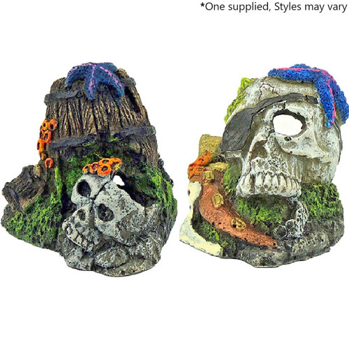 Small skull aqua - x, fish