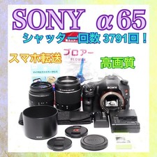 Sony Alpha 65 DSLR Camera Low