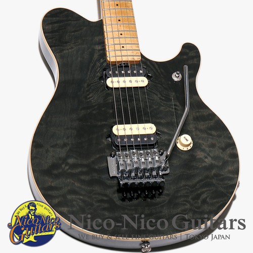 Evh signature music man 1995 - signature,