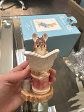 Beatrix Potter Tailor of