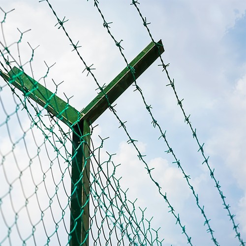 Barbed wire pvc - 7.7m,