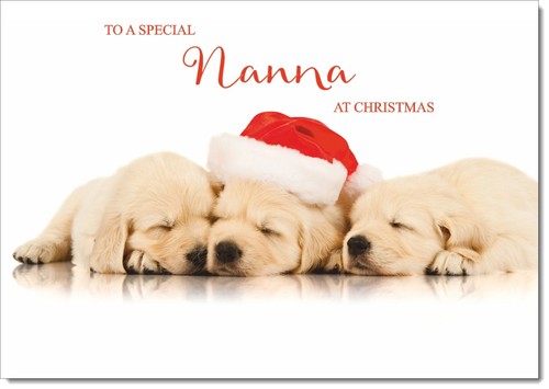 Doodlecards nanna christmas - doodlecards,