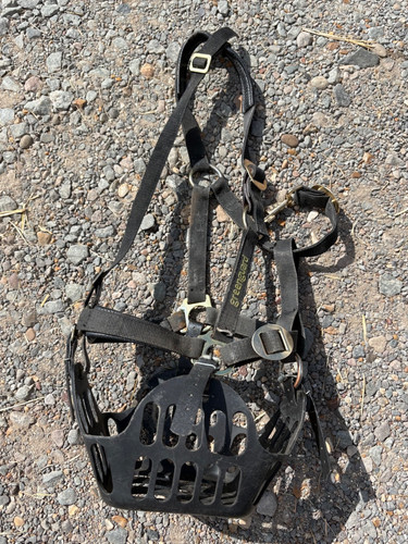 Green guard full - size, muzzle