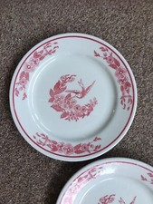 Vintage Jackson China x2 Red Hummingbird Plates 23cm Vitrified China Restaurant