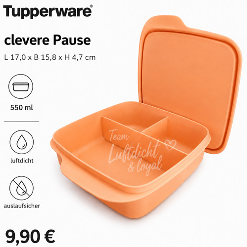 Tupperware eco break box - break,