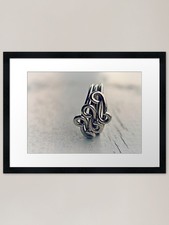 The thrift store ring Framed