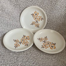 Biltons Orange Wild Rose Side