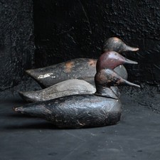 Early 20th century English estate made decoy duck.
