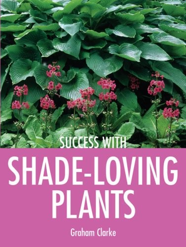 Success with shade loving - success, shade-loving