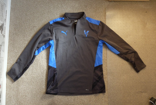Crystal palace men puma - crystal,