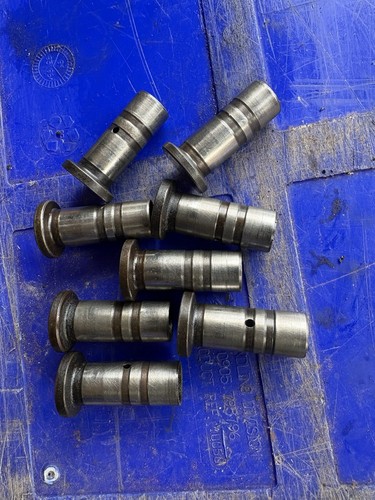 Sert type 1 t2 - sert,