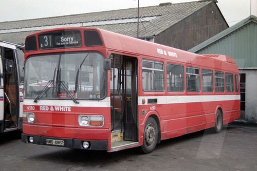 Bus photo red white - white, n580