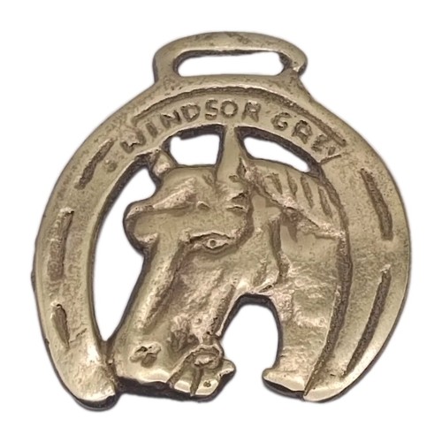 Windsor grey horse - windsor,