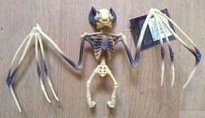 HANGING BAT SKELETON creepy