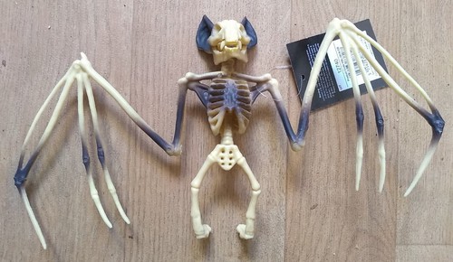 Hanging bat skeleton creepy - hanging,