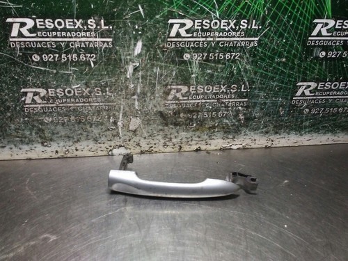 Front outer door - outer, lh