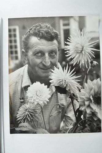 Gordon sandiford gardener - sandiford,