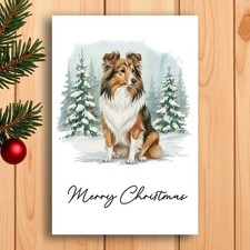 Shetland Sheepdog Christmas