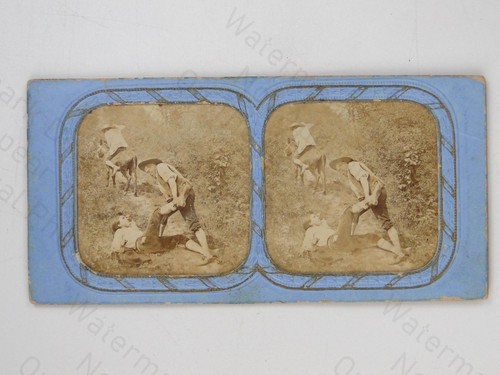 Fraget viret spain staged - fraget,