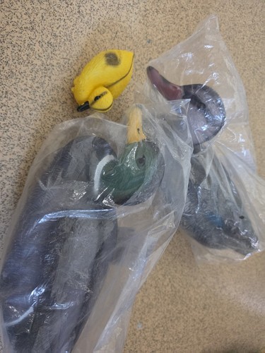 Floating duck decoys - floating,