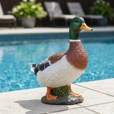 Duck Garden Ornaments