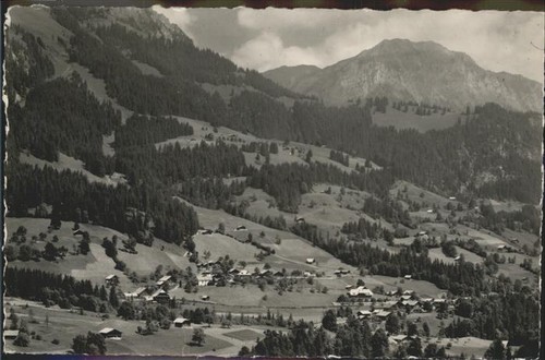 Oberwil simmental general view - oberwil,