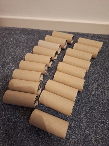Empty toilet roll - empty,