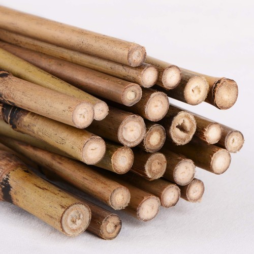 Heavy duty bamboo garden canes - duty,