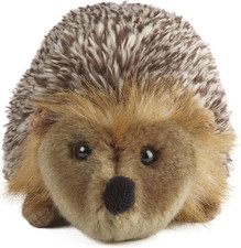 Medium Hedgehog, Realistic