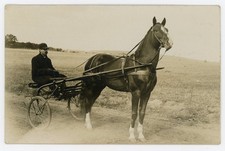 Early 1900s Man Horse Sulky