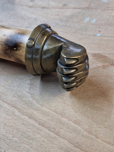 Lion paw staff - paw, walking