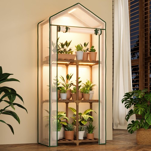 Tomato greenhouse mini - tomato,