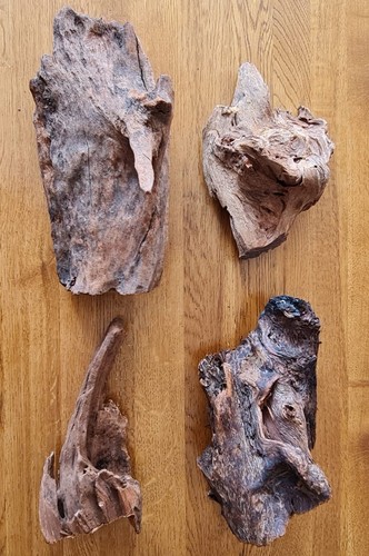 Reptile driftwood for - reptile,