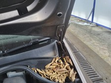 BONNET HINGE LH VOLKSWAGEN