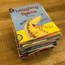 x63 Lighthouse Ginn Guided Reading Books for Foundation and KS1